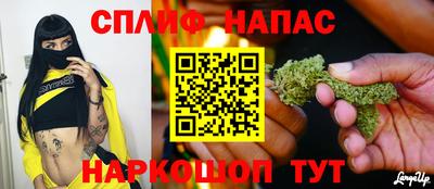 МДПВ Краснодар