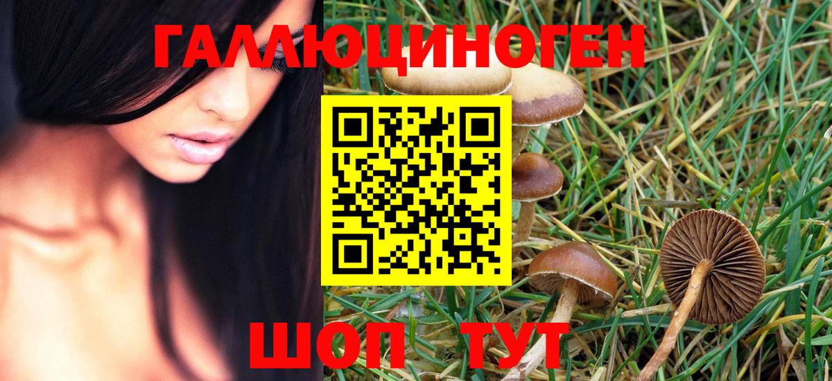 Владикавказ  Галлюциногенные грибы Psilocybe  Вход с VPN 